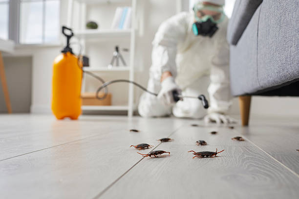 Commercial Rodent Management in Hawthorn Woods